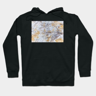 Dry and swollen earth texture Hoodie